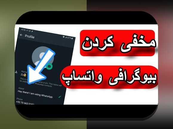 چرا ثبت بیوگرافی در سایت شرط بندی اهمیت دارد؟ راهنمای کامل برای کاربران ایرانی